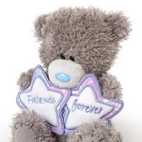 5" Friends Forever Stars Me to You Bear Extra Image 1 Preview